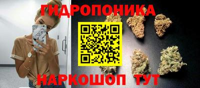 индика Бузулук