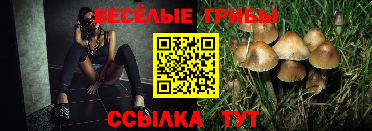 Отрадное  Псилоцибиновые грибы Cubensis  наркотики  Вход с VPN 